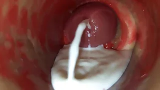Sex Gay Porn 6